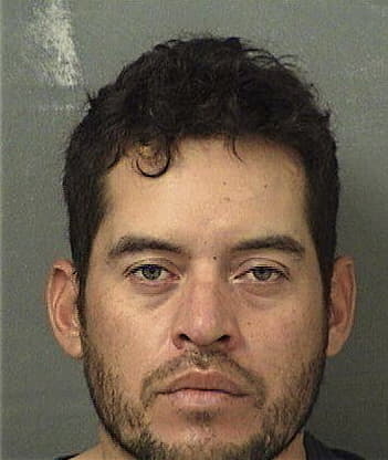 Jose Inessanchez, - Palm Beach County, FL 